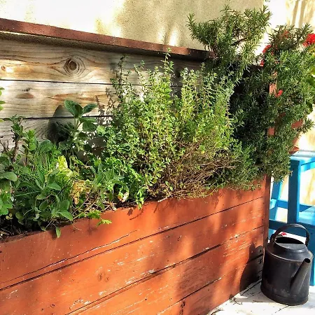 Apartament Casa Marola *